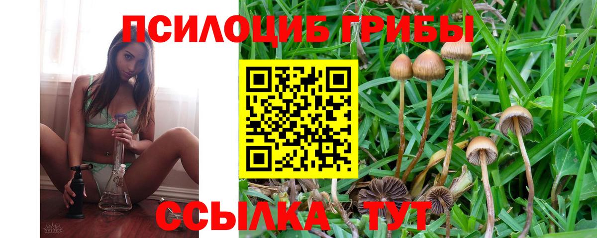 Галлюциногенные грибы MAGIC MUSHROOMS  что такое наркотик  Камышлов  Вход с VPN 